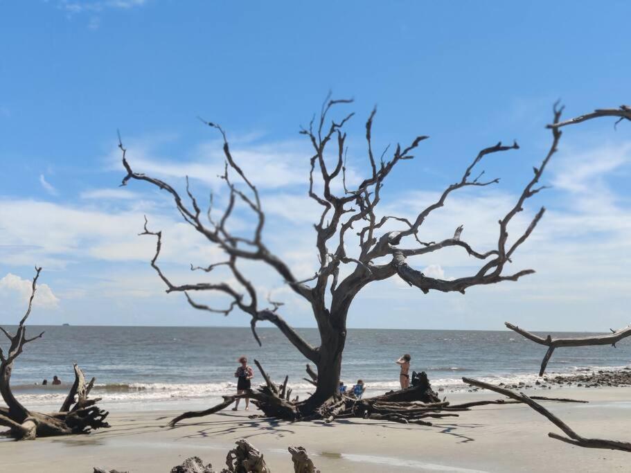 Jekyll Island House/ Kellys On The Coast /King Bed Villa Exterior foto